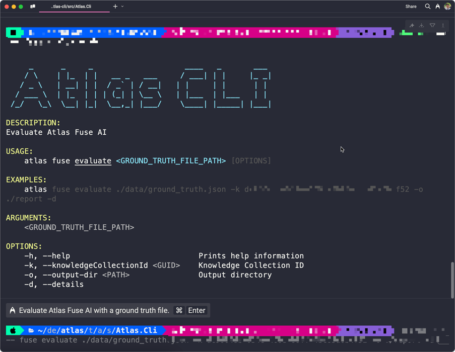Screenshot of Atlas CLI